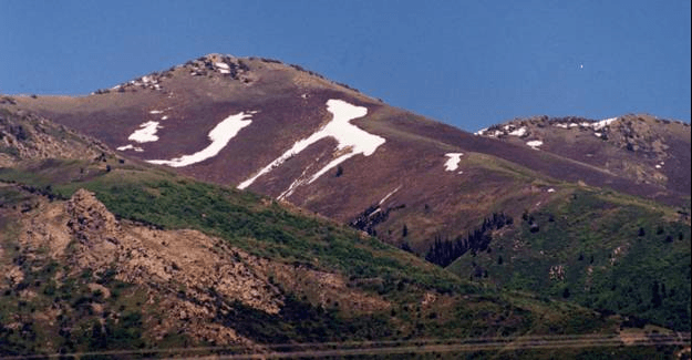 Snow Horse on snow melt on the mountian