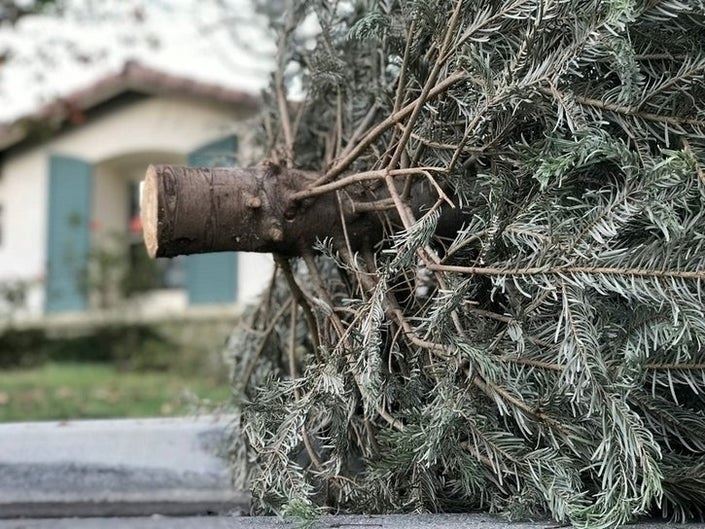 Christmas Tree Recycling