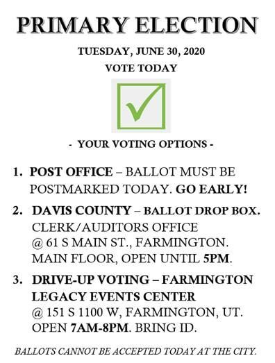 Primary Election 2020