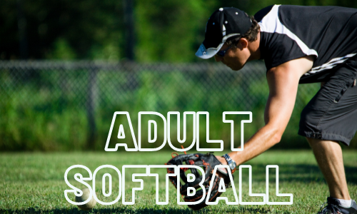 adult softball link (2)