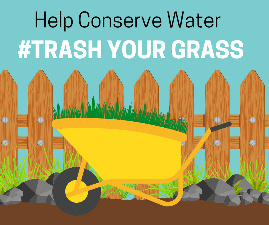 Trash your grass