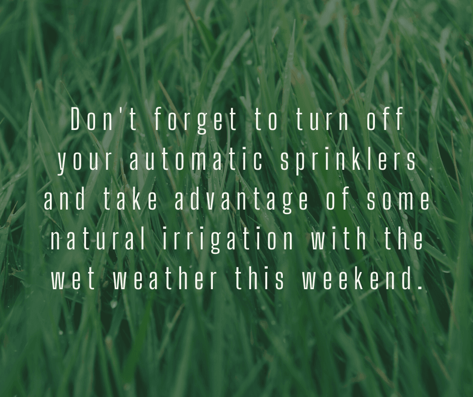 Turn off Sprinklers During Wet Weather