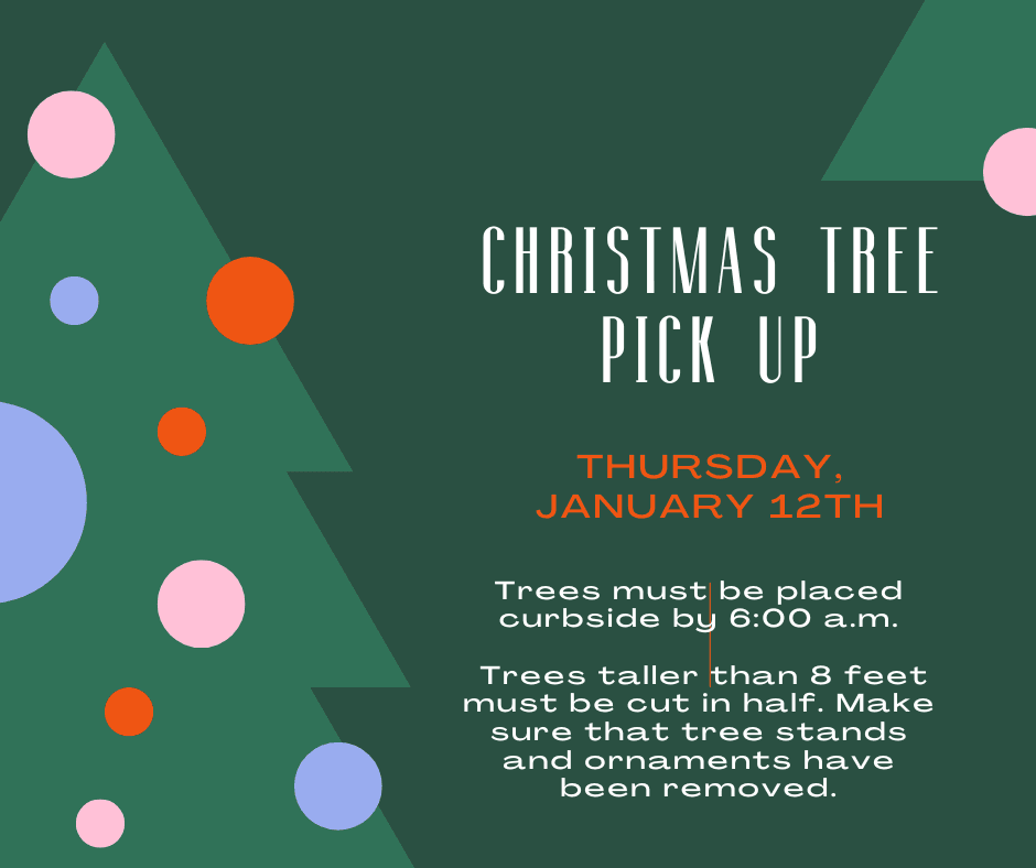 Christmas Tree pick up