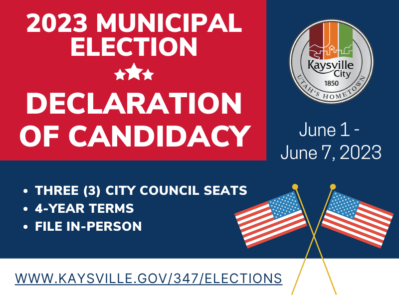 2023 Municipal Election Declaration of Candidacy