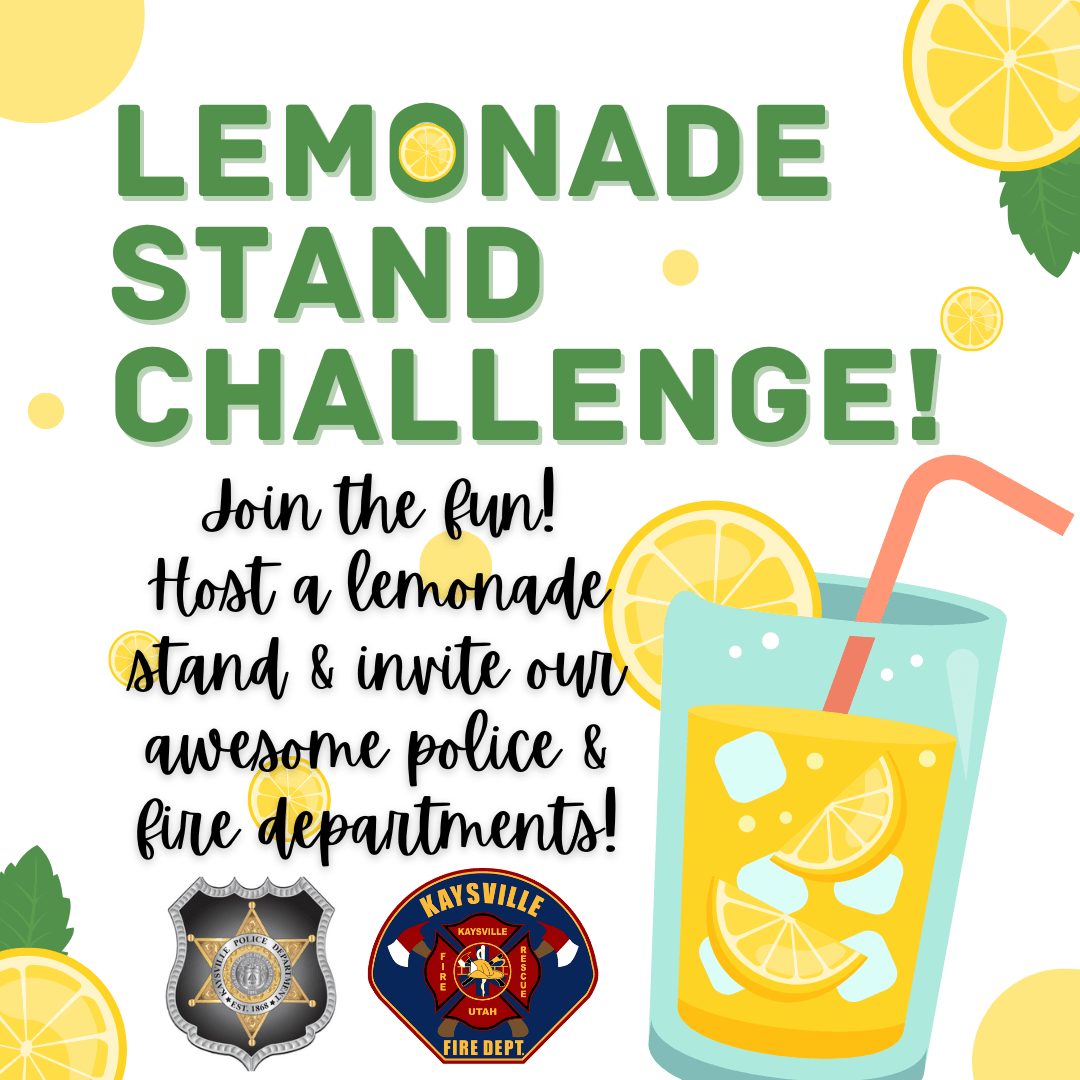 Lemonade Stand Challenge