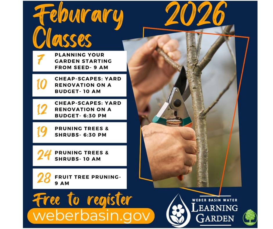 Weber Basin Feb 2026 Classes